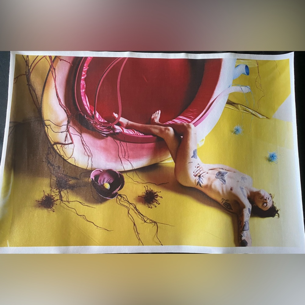 Harry Styles Fine Line Canvas Poster
